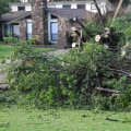 The Benefits of Professional Tree Removal Services